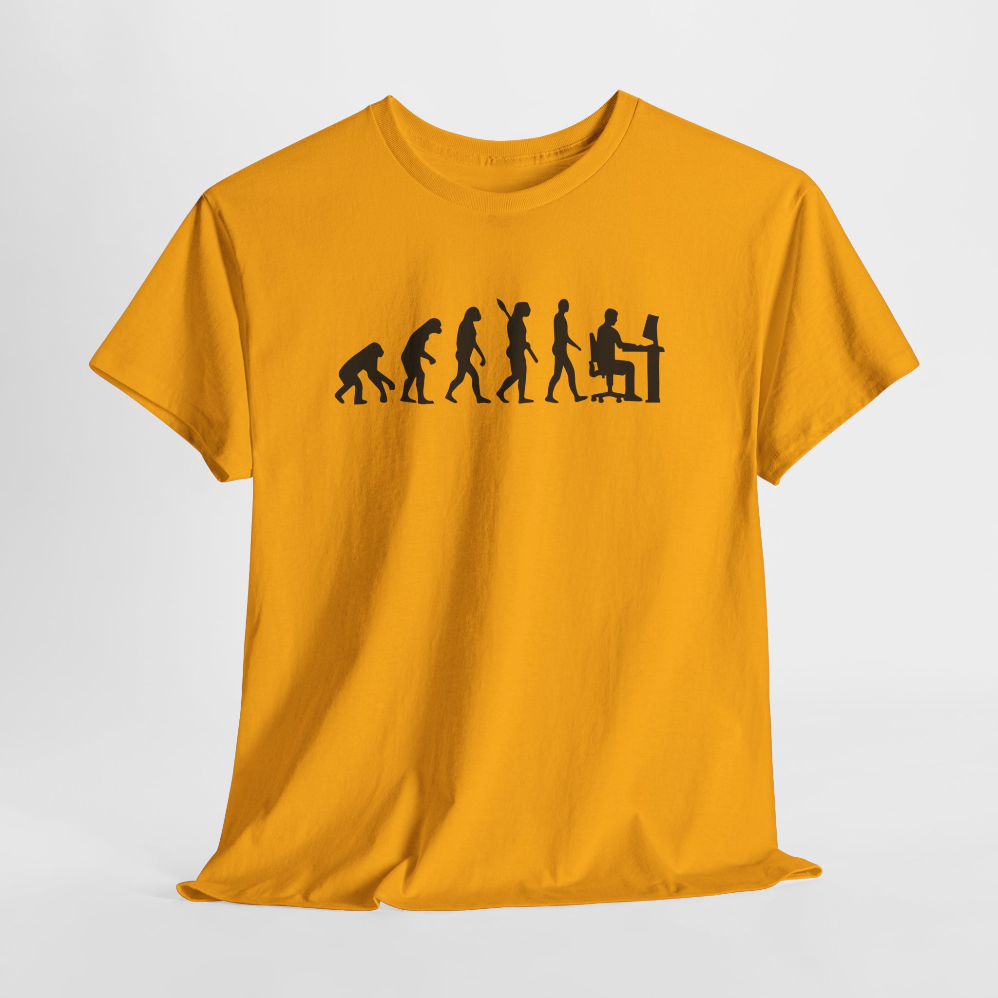 Programmer Evolution T-Shirt, Funny Coder and Developer Tee, Computer Science Gift, Unisex IT Professional Shirt