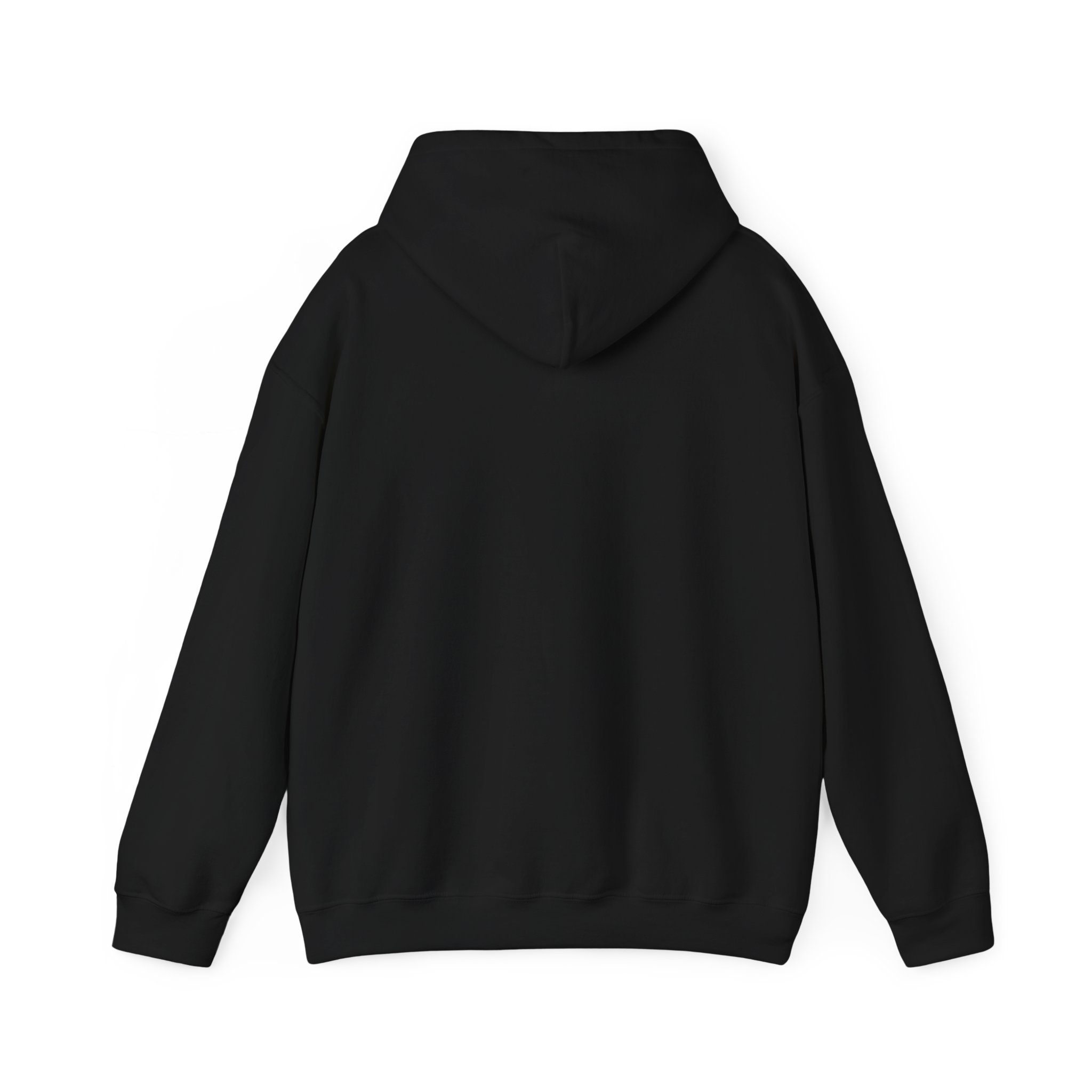 Iron Carbon Phase Diagram Metallurgy Hoodie - Unisex Sweatshirt, Gift for Engineers, Science Lover, Metallurgist, Steel Worker, Metalworker - Image 2